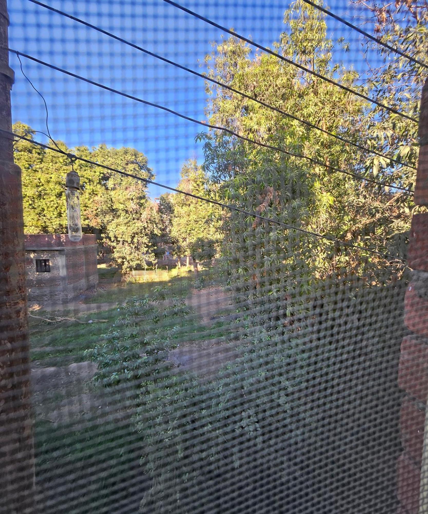 אסואן Abu Guest House מראה חיצוני תמונה